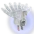 albinopeacock