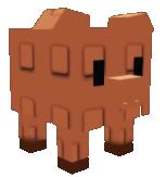 pig