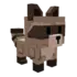 raccoon