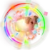 rainbowhotdog