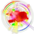 rainbowperformerseal