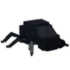 scarab