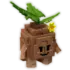 seedling