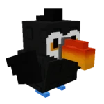 toucan
